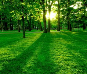 1.41.23卵泡（15×14卵泡）