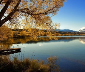 长不大的卵泡（长不大的卵泡会消失还是下个月接着长）