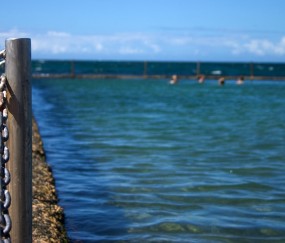 蜂卵泡蜂蜜好吗（蜂卵和蜂蜜）