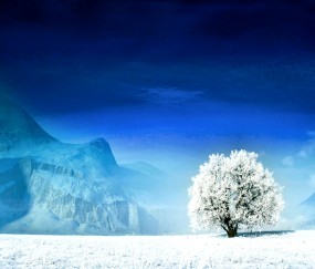 怀孕初期可以切除宫颈息肉吗（怀孕了可以摘除宫颈息肉吗）