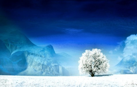 试管婴儿培植是什么意思