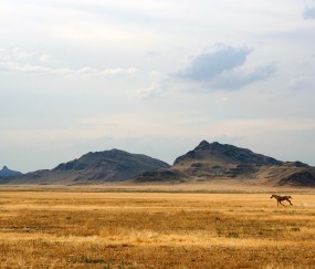 三代试管10万报销多少