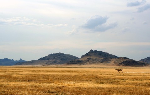 三代试管10万报销多少