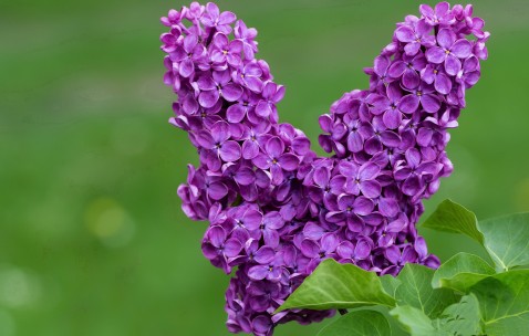 南昌哪家医院有卵子库，附供卵管成功率、费用预算！（南昌哪个医院看卵巢早衰比较好）