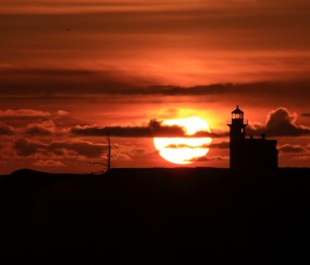 怀孕初期右腹下侧有点痛怎么回事（怀孕初期右腹下部偶尔疼）