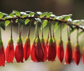 试管婴儿胚胎冷冻标准