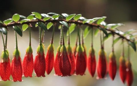 试管婴儿胚胎冷冻标准
