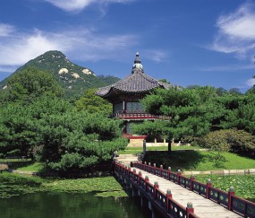 多囊影响试管成功率（多囊做试管会胎停吗）