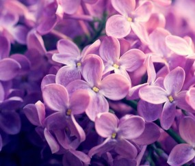 怀孕初期尿频小腹坠胀怎么回事（怀孕初期为什么尿频下腹还疼）