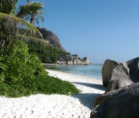 福州哪里做试管婴儿成功率最高