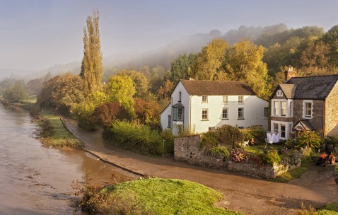 卵巢功能好试管成功率（卵巢功能非常好试管）