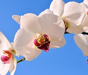 怀孕初期蹲大便有出血的吗（怀孕初期蹲大便有出血的吗怎么回事）