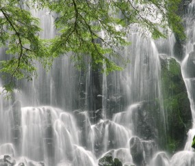 怀孕初期五六天没大便（怀孕初期五六天没大便正常吗）