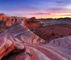 怀孕初期拉屎带白色东西（怀孕初期拉粑粑有白色东西）