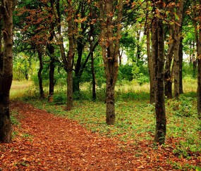 郑州大学第一附属医院试管多少钱