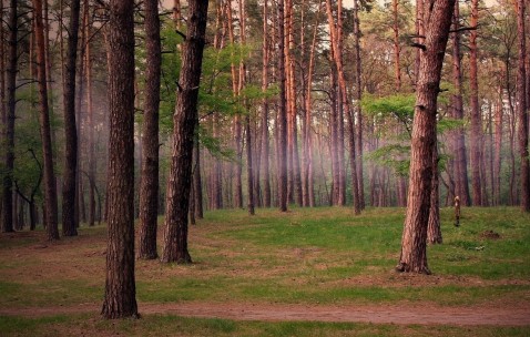 怀孕初期肚子疼有大血块（怀孕初期肚子疼有血块排出）