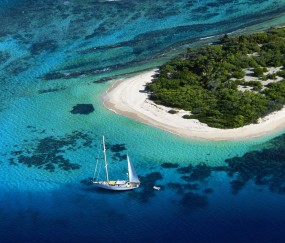 10个人做试管几个能成功