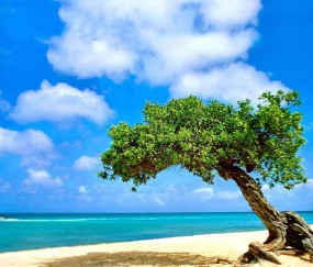 卵泡套叠法（卵泡套叠怀孕好不好）