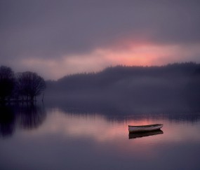卵泡生长标准（卵泡生长周期长是怎么回事）