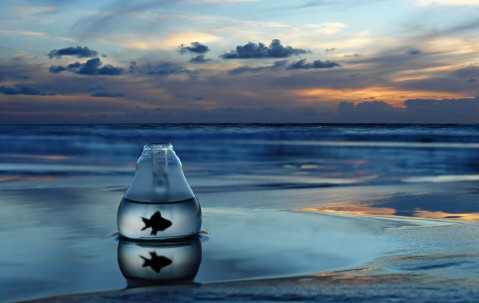 怀孕初期肚子偶尔会痒吗（怀孕初期小肚子会痒吗）