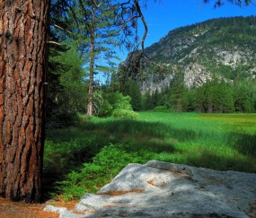 卵泡15x15是圆卵泡吗（卵泡15x13是什么意思）