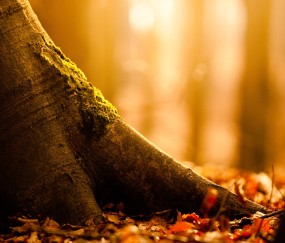 福州哪个医院有做试管