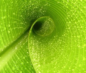 纯牛奶宝宝喝哪个牌子好