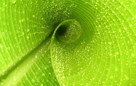 纯牛奶宝宝喝哪个牌子好