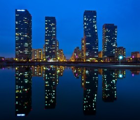 怀孕初期吃什么清蒸鱼（怀孕初期吃啥鱼）