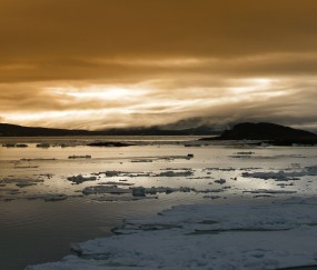 怀孕初期流褐色分泌物两周（怀孕初期流褐色分泌物两周正常吗）