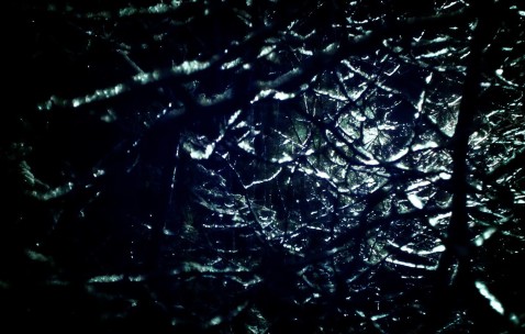 怀孕初期吃点儿东西就打饱嗝（怀孕初期吃一点东西总就打饱嗝）