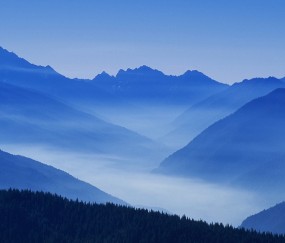 怀孕初期吃了青果颗粒（刚怀孕可以吃青果吗）