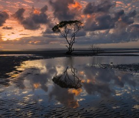 怀孕初期三月内请假么（怀孕前三个月请假有劳动法规定）