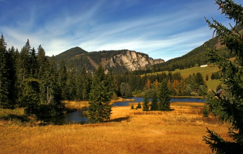 怀孕初期流血半个月的（怀孕初期流血流了半个月）
