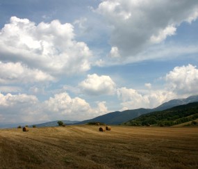 试管成功率低,医生会直接告知吗