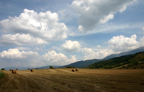 试管成功率低,医生会直接告知吗