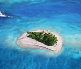 监测排卵泡（监测排卵泡卵只写了一个数字95,是没长大吗）