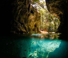 没有卵泡发育（没有卵泡发育是什么原因）