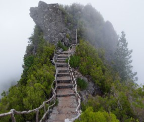 福州私立供卵试管公司名单，附2024供卵试管生男孩前十医院名单！的简单介绍