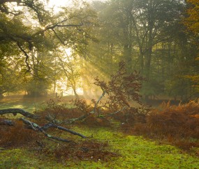 南昌能进行供卵试管的医院汇总，附供卵移植成功率统计表！（南昌供卵试管婴儿）