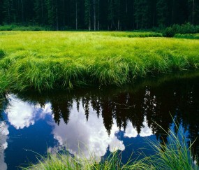 卵泡数量变化（卵泡数量变化规律）