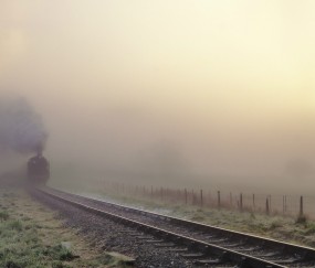 怀孕初期感冒低烧三四天（孕早期感冒低烧好多天）